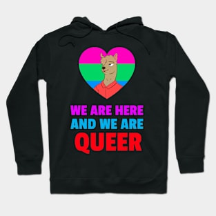 we are here and we are queer Hoodie